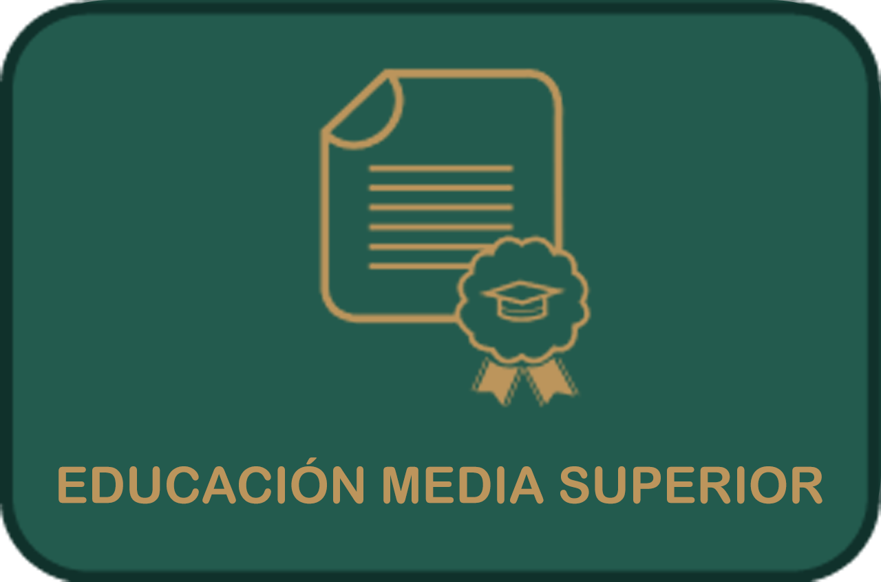 Educación Básica